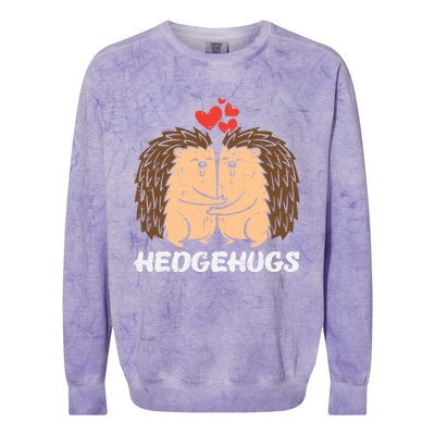 Hedgehugs Hedgehog Hugs Valentines Day Couples Meaningful Gift Colorblast Crewneck Sweatshirt