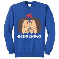 Hedgehugs Hedgehog Hugs Valentines Day Couples Meaningful Gift Sweatshirt