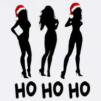 Ho Ho Ho Female Funny Santa Apron