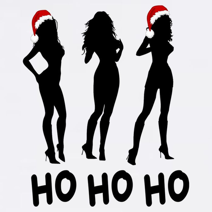 Ho Ho Ho Female Funny Santa Apron