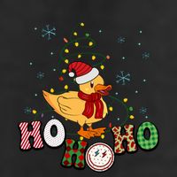 Ho Ho Ho Duck Funny Christmas Lights Gift Hat