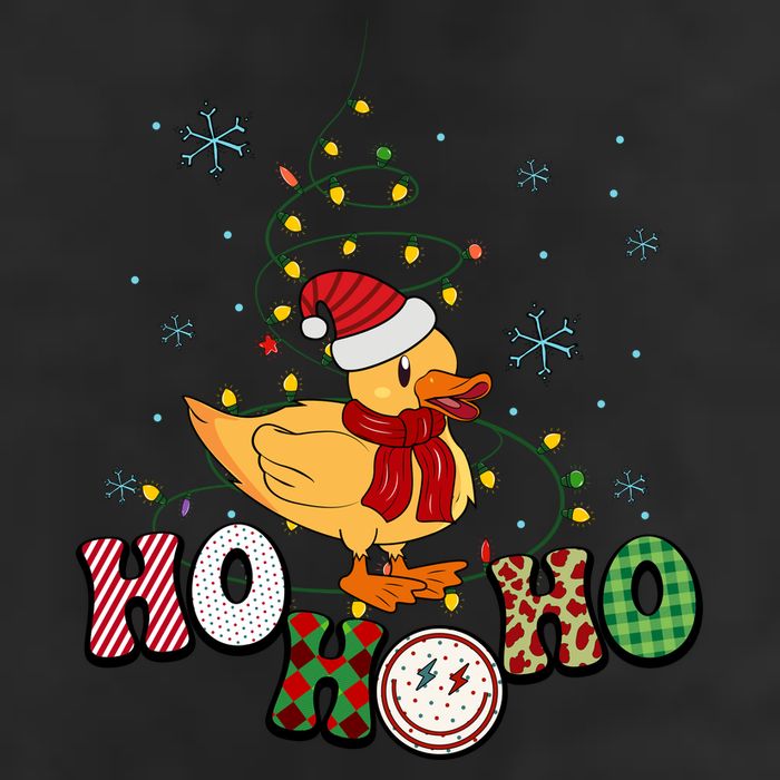 Ho Ho Ho Duck Funny Christmas Lights Gift Hat