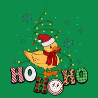 Ho Ho Ho Duck Funny Christmas Lights Gift Women's V-Neck T-Shirt