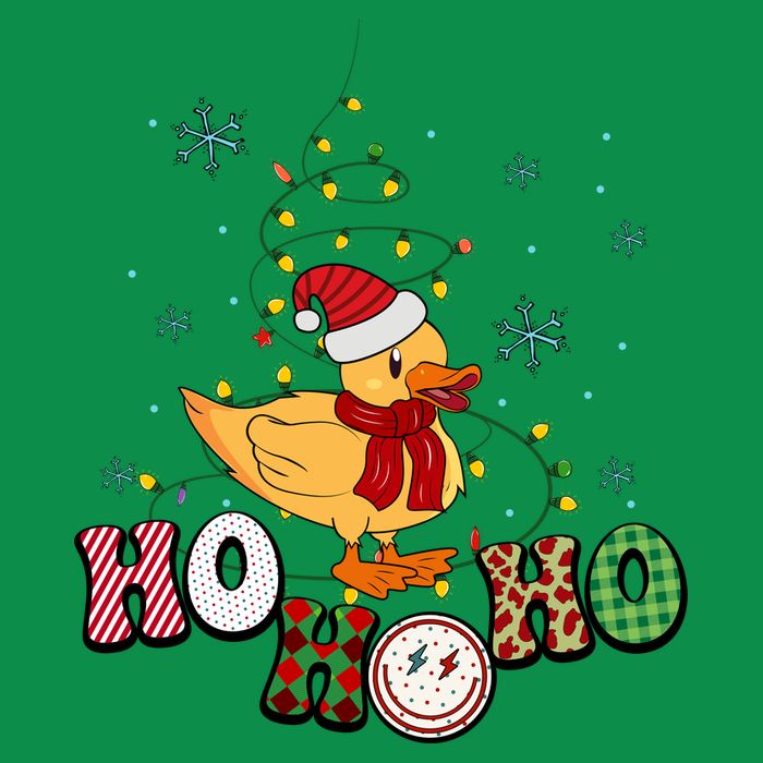 Ho Ho Ho Duck Funny Christmas Lights Gift Women's V-Neck T-Shirt