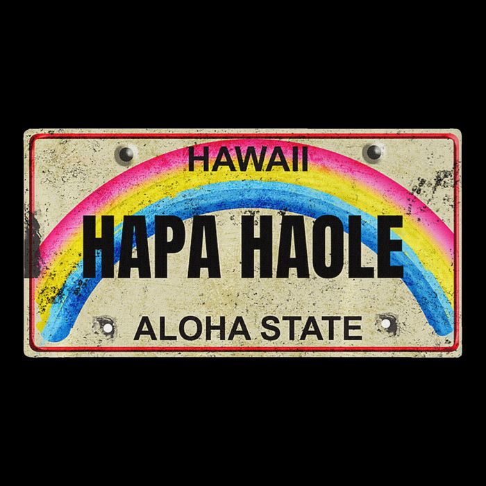 Hapa Haole Hawaiian License Plate Premium T-Shirt