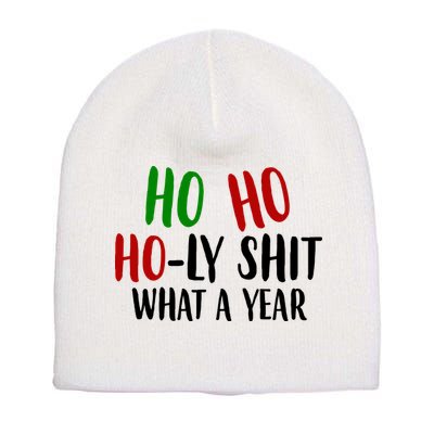 Ho Ho Holy Sh*t What A Year Funny Christmas Short Acrylic Beanie