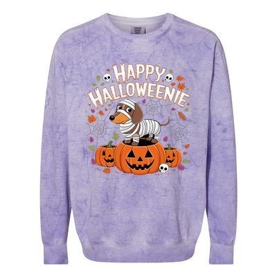 Happy Halloween Mummy Dachshund Pet Owner Holiday Wiener Dog Colorblast Crewneck Sweatshirt