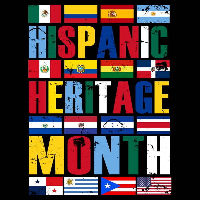 Hispanic Heritage Month Country Flags Premium T-Shirt