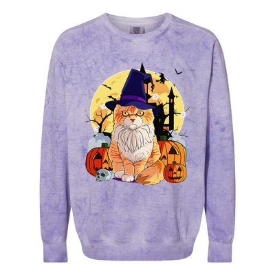 Happy Halloween Maine Coon Cat Witch Pumpkin Colorblast Crewneck Sweatshirt