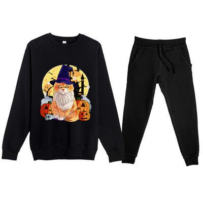 Happy Halloween Maine Coon Cat Witch Pumpkin Premium Crewneck Sweatsuit Set