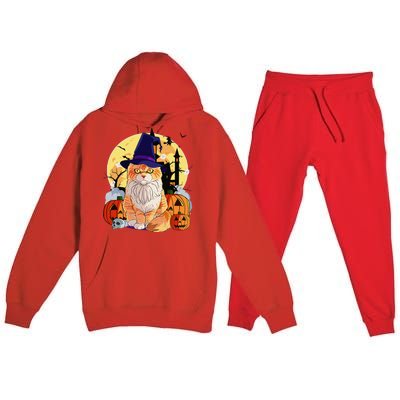 Happy Halloween Maine Coon Cat Witch Pumpkin Premium Hooded Sweatsuit Set