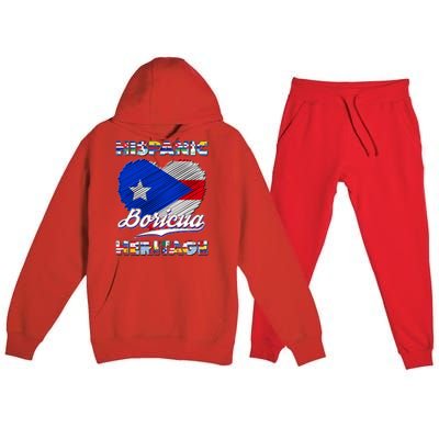 Hispanic Heritage Month Boricua Puerto Rico Flag Premium Hooded Sweatsuit Set