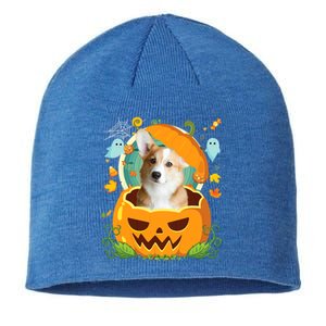 Happy Halloween Pumpkin Corgi Dog Witch Cute Hat Lover Horor Gift Sustainable Beanie