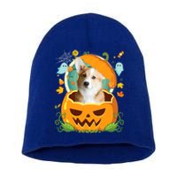 Happy Halloween Pumpkin Corgi Dog Witch Cute Hat Lover Horor Gift Short Acrylic Beanie