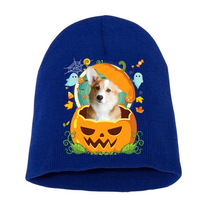 Happy Halloween Pumpkin Corgi Dog Witch Cute Hat Lover Horor Gift Short Acrylic Beanie