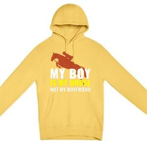 Horse Horseback Riding Gift Premium Pullover Hoodie