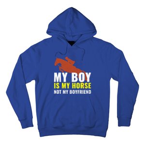 Horse Horseback Riding Gift Hoodie