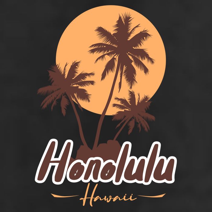 Honolulu Hawaii Sunset Adult Drive Performance Visor