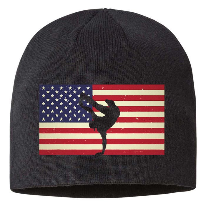 Hip Hop Street Break Dancing Teacher Patriotic American Flag Sustainable Beanie