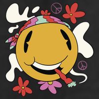 Happy Hippie Smoke Adult Drive Performance Visor