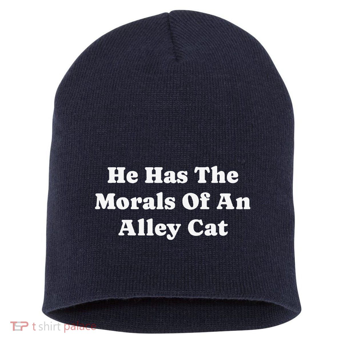 He Has The Morals Of An Alley Cat Short Acrylic Beanie