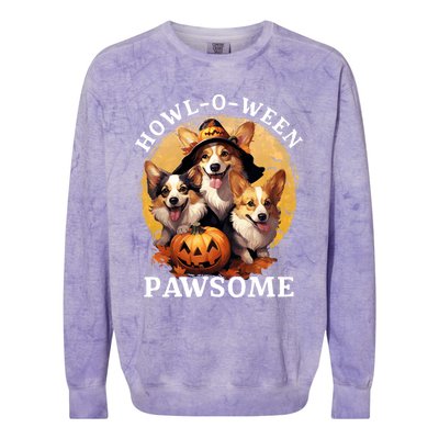 Happy Halloween Witch Welsh Corgi Dog HowlOWeen Pawsome Gift Colorblast Crewneck Sweatshirt