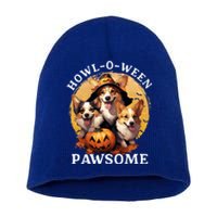 Happy Halloween Witch Welsh Corgi Dog HowlOWeen Pawsome Gift Short Acrylic Beanie