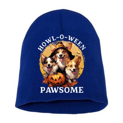 Happy Halloween Witch Welsh Corgi Dog HowlOWeen Pawsome Gift Short Acrylic Beanie