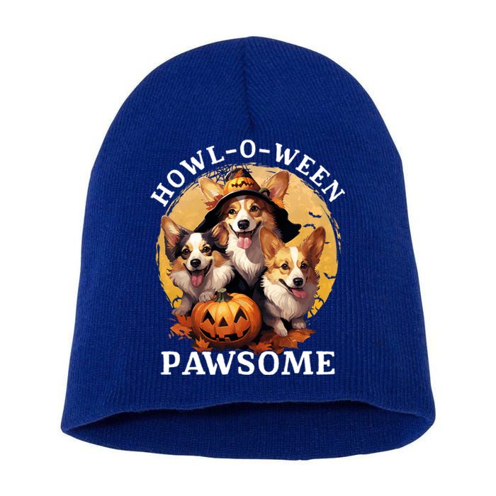 Happy Halloween Witch Welsh Corgi Dog HowlOWeen Pawsome Gift Short Acrylic Beanie