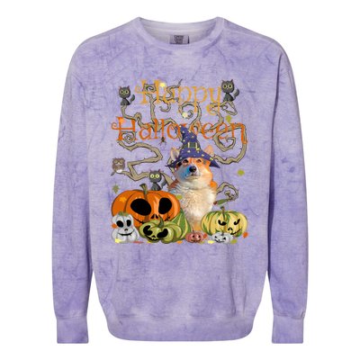 Happy Halloween Witch Corgi Pumpkin Black Cat JackOLantern Cool Gift Colorblast Crewneck Sweatshirt