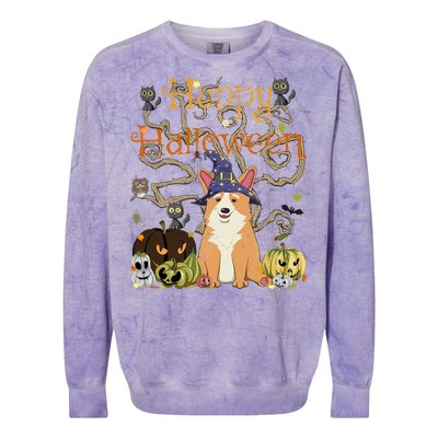 Happy Halloween Witch Corgi Cats Pumpkin Cute JackOLantern Gift Colorblast Crewneck Sweatshirt