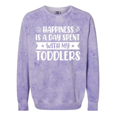 Happiness Is A Day Spent With My Sitter Daycare Gift Colorblast Crewneck Sweatshirt