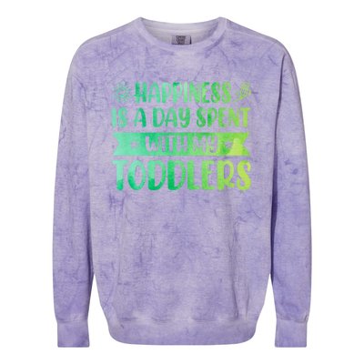 Happiness Is A Day Spent With My Sitter Daycare Gift Colorblast Crewneck Sweatshirt