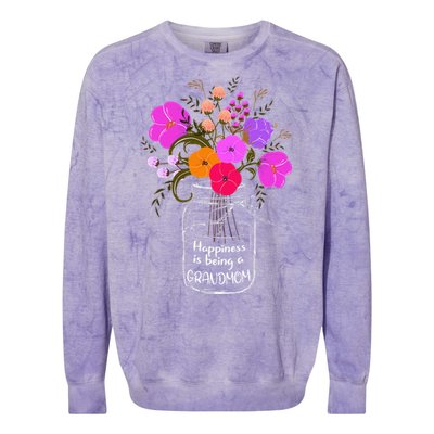 Happiness Is Being A Grandmom Gift Grandma Mom Flower Colorblast Crewneck Sweatshirt