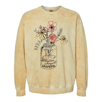 Happiness Is Being Grandma Life Flower Artgrandma Colorblast Crewneck Sweatshirt