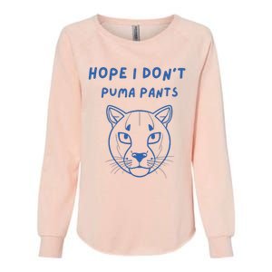 Hope I Dont Pants Funny Cat Pun Womens California Wash Sweatshirt