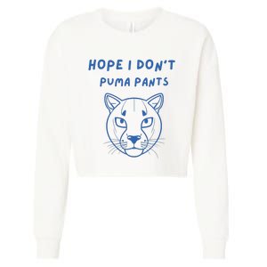 Hope I Dont Pants Funny Cat Pun Cropped Pullover Crew