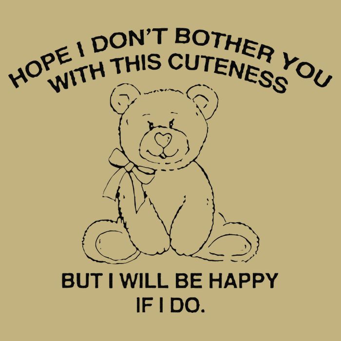 Hope I DonT Bother You With This Cuteness But ILl Be Happy T-Shirt