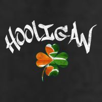Hooligan Irish Flag St Patricks Day 7 Panel Mesh Trucker Snapback Hat