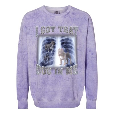 Hilarious I Got That Dog In Me Xray Meme Funny Colorblast Crewneck Sweatshirt