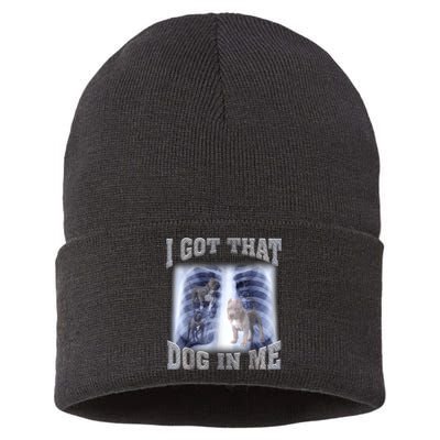 Hilarious I Got That Dog In Me Xray Meme Funny Sustainable Knit Beanie