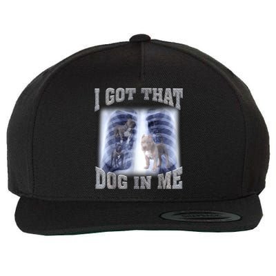 Hilarious I Got That Dog In Me Xray Meme Funny Wool Snapback Cap