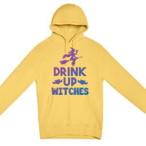 Halloween Ing Gift Up Witches Meaningful Gift Premium Pullover Hoodie