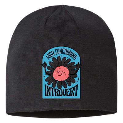 High Functioning Introvert Sustainable Beanie