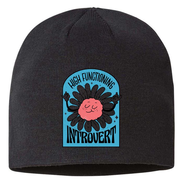 High Functioning Introvert Sustainable Beanie