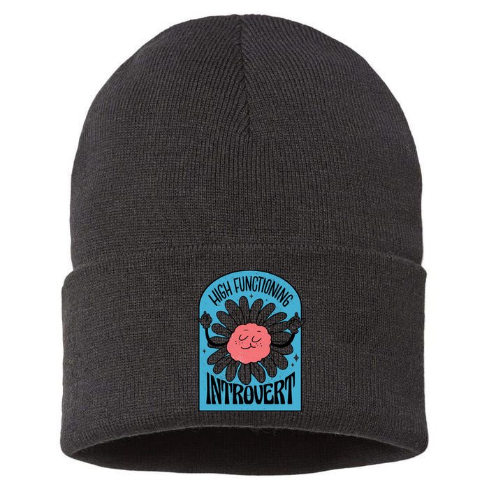 High Functioning Introvert Sustainable Knit Beanie