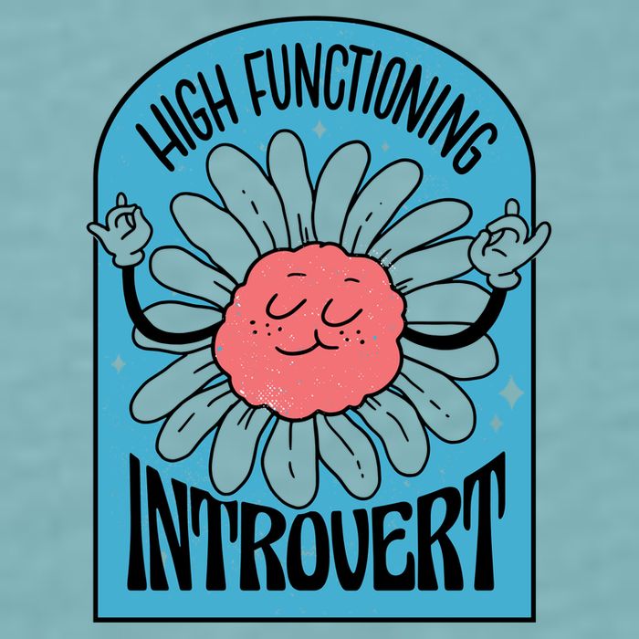 High Functioning Introvert Sueded Cloud Jersey T-Shirt