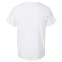 High Functioning Introvert Garment-Dyed Heavyweight T-Shirt