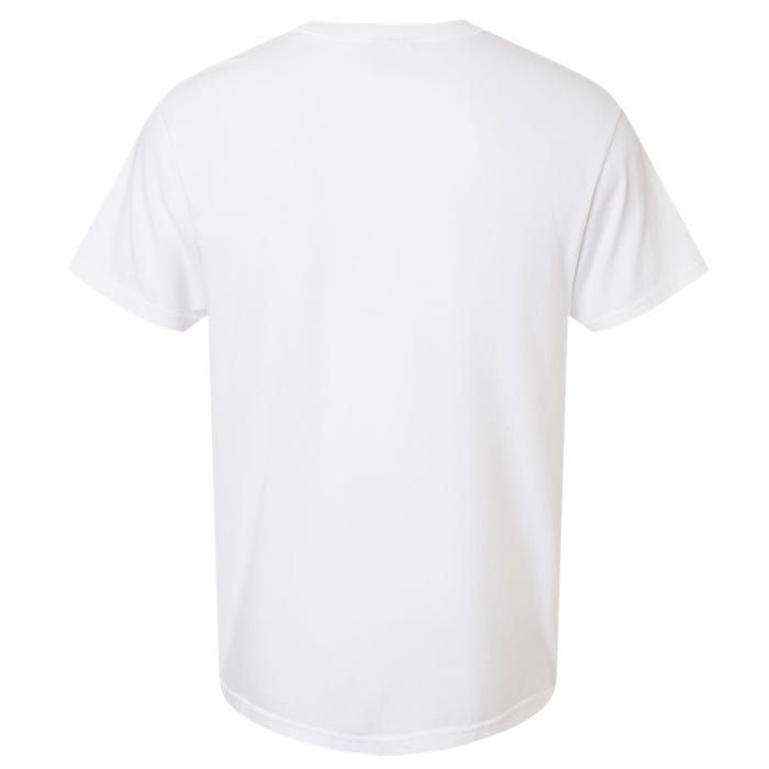 High Functioning Introvert Garment-Dyed Heavyweight T-Shirt