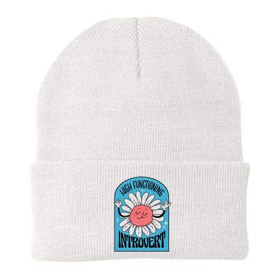 High Functioning Introvert Beanie